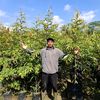pembibitan.com