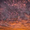 mae_st4r