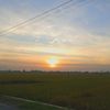 tumblerbiru_