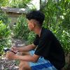 pin01251