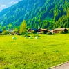 travel3068