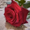 mami_nosevalellorar