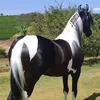 jukh897