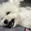 huyen_nha_que