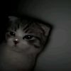 mhmmdraffi_2