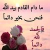 user21861377441194