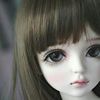 gardenia_flower31
