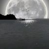 hayaller.iptal683