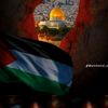 omar07080858
