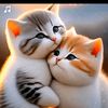 اެمِيَࢪةِ نِفِسـيَہِٰ 🤍⊱﮼.