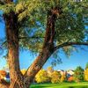 cherchel.abdelkad