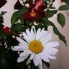 user833552606