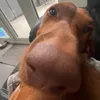 .rbrtt