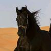 nour50973