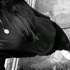 _ally_677lur