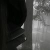 darr.ii1