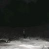 romrp_