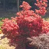 seizi054430