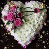 user1299786777202