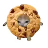 kittycat_488