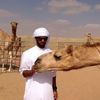 q7_llx