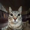 aaron_29205