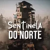 sentineladonorte.br