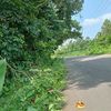 misjaya489