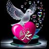 user12098480532160