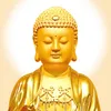 Học Chánh Pháp - A Di Đà Phật
