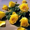 user4851076187367