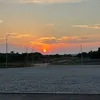 z_gryfina0030