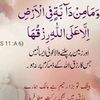 abdullah.mian05