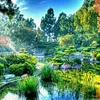 beautiful.world431