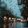 _dear_melancholy_