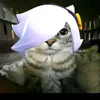 apenas_um_gato3