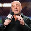 The Joe Rogan Exp podcast