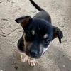 kocobuom0_0