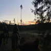 kiwi_bugaren2