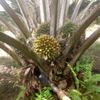 udin123067