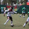 bebetojr08