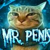 mr.penis.3