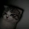 xylin_lin33288