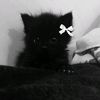 kris71959