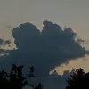LOL