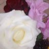 souhakr09