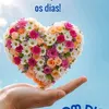 cancela044