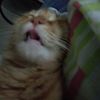chrisstian_0762