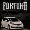 ge_fortunaa