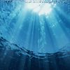 acqua eight